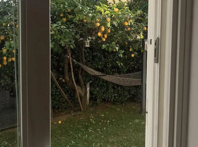 Capri And * 나폴리